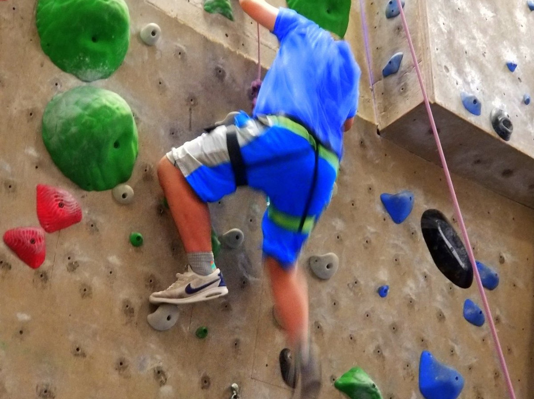 Aiguille Rock Climbing Center-Longwood必去景点