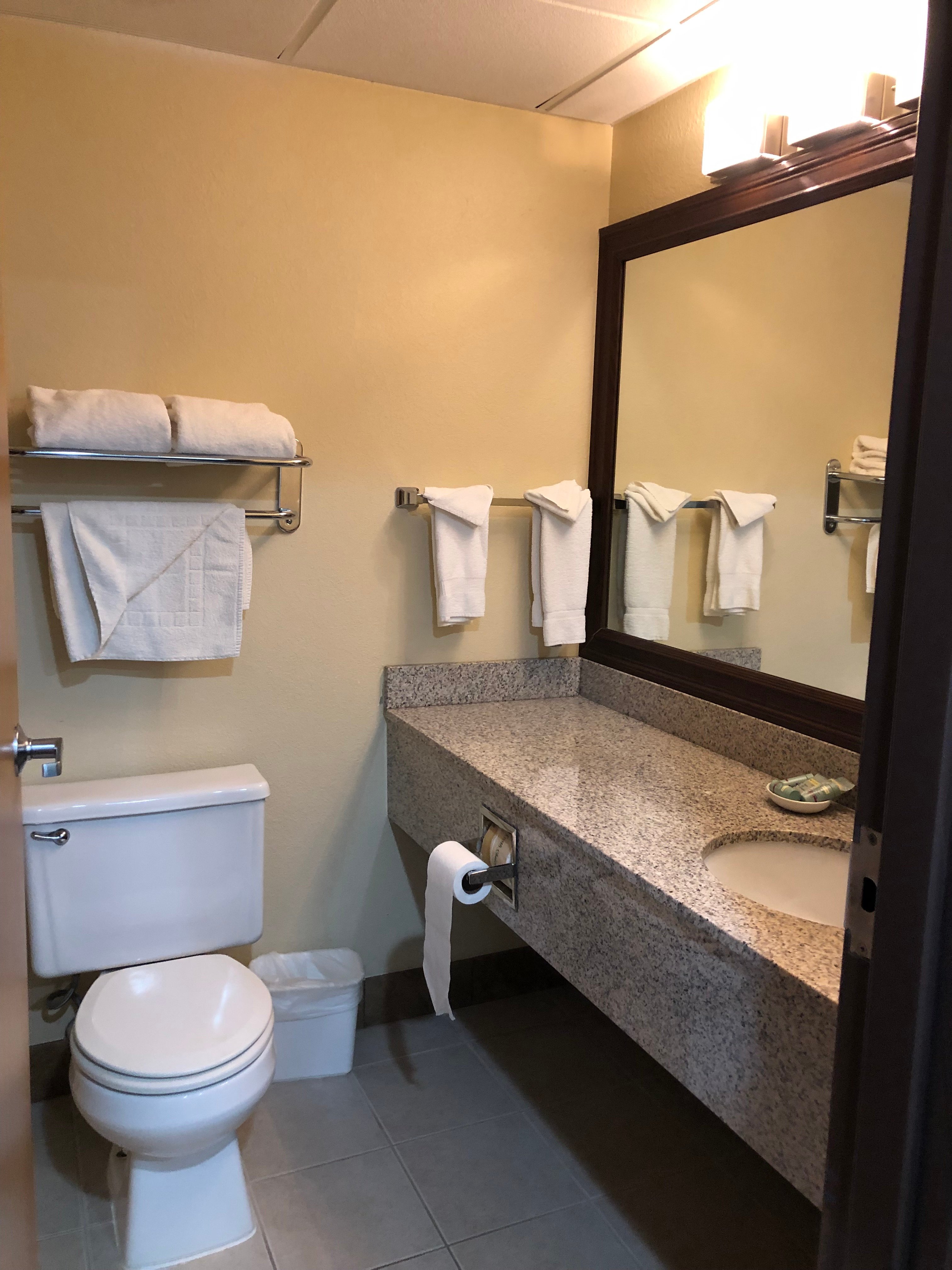 Americinn By Wyndham Woodstock Il-浴室