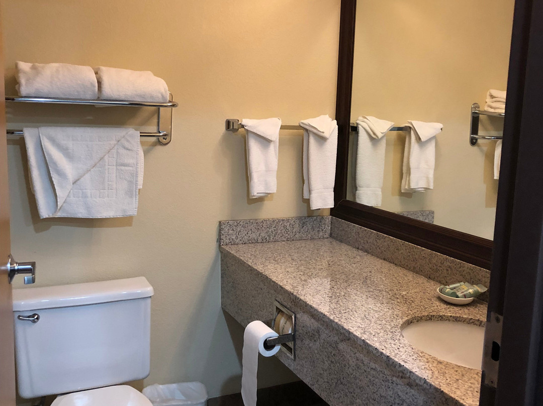 Americinn By Wyndham Woodstock Il主图