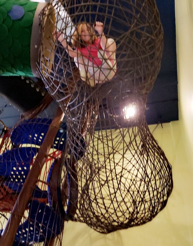 Madison Children's Museum-麦迪逊必去景点