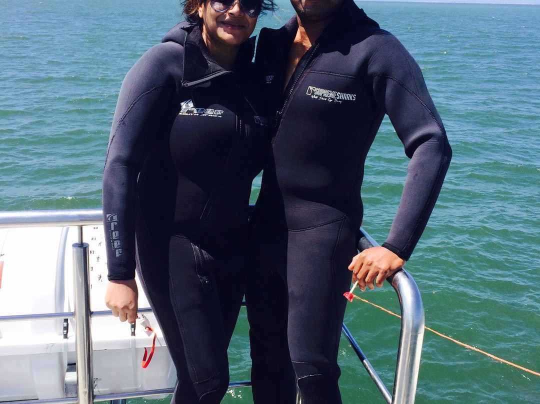 Supreme Sharks-Kleinbaai必去景点