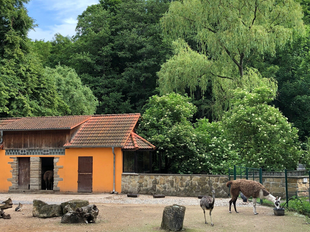 Tierpark Gotha景点图片