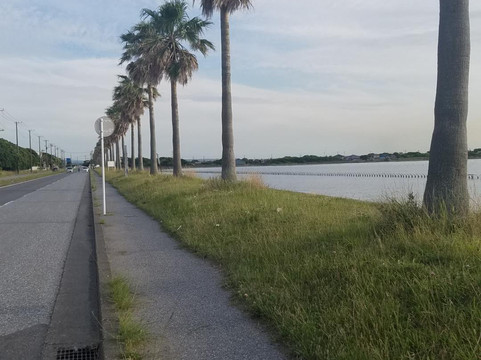 Chibafornia-袖浦市必去景点