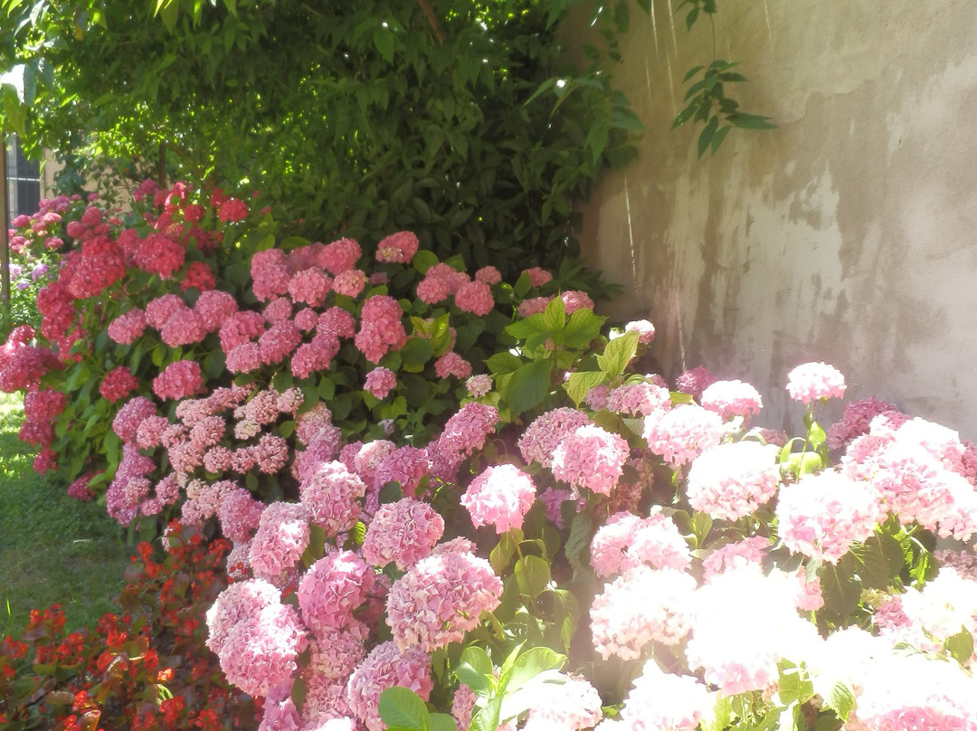 中央公寓酒店主图