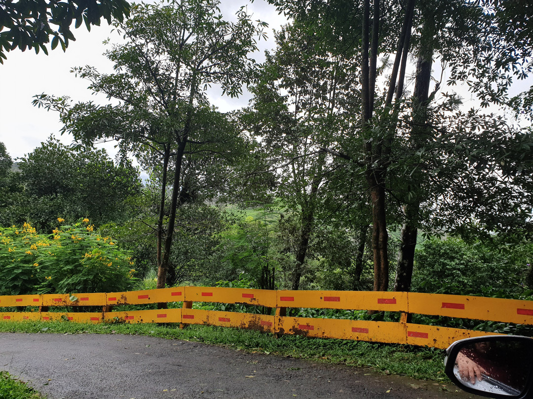 The Windflower Resort & Spa Vythiri主图