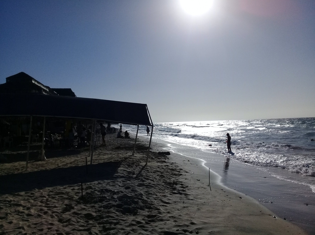 Playa El Tecolote (Tecolote Beach)景点图片