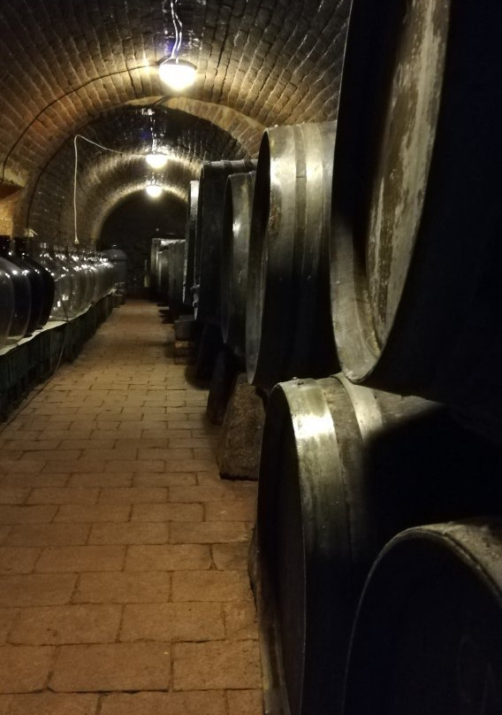 Vino Frlausovi景点图片