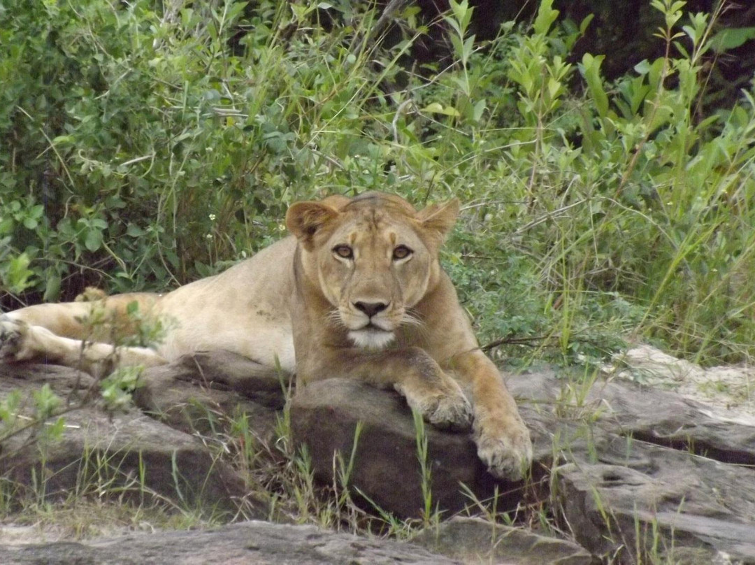 Travel With Brighton-坦噶必去景点