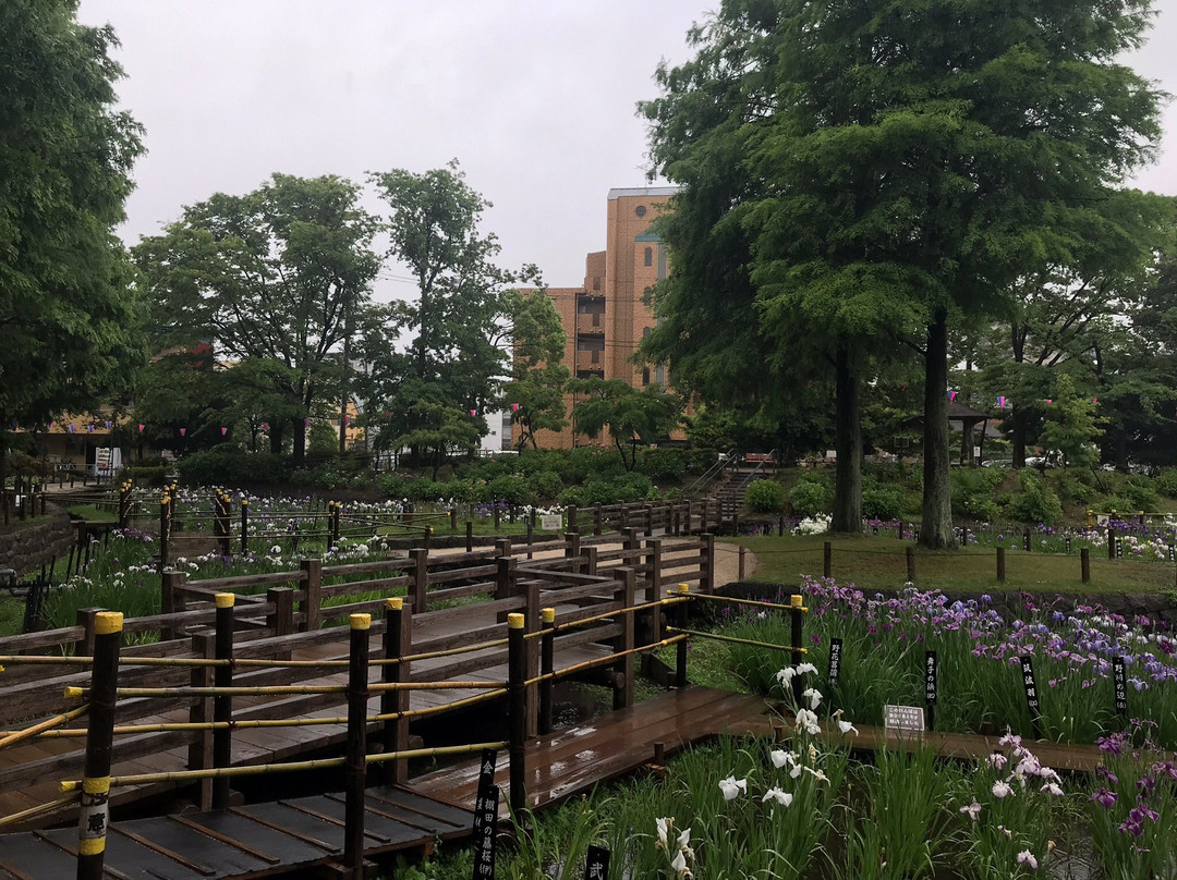 Shobu Numa Park-足立区必去景点