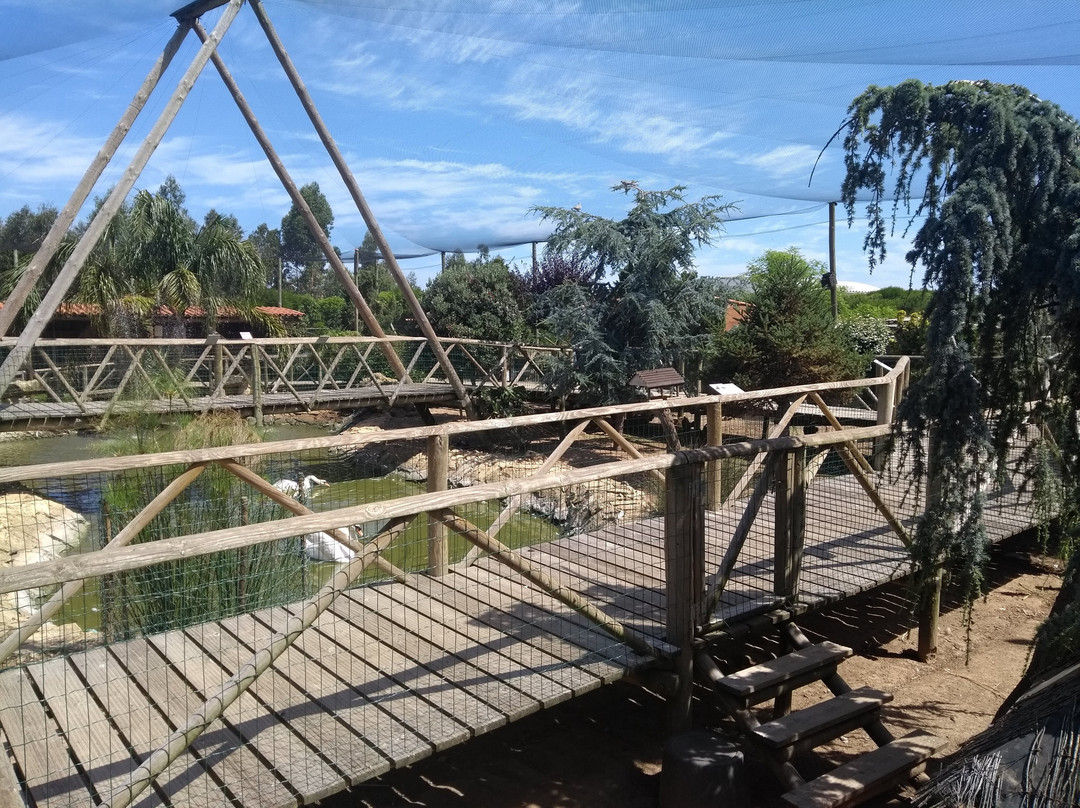 Jardim dos Bichos e Viveiros Batalha景点图片
