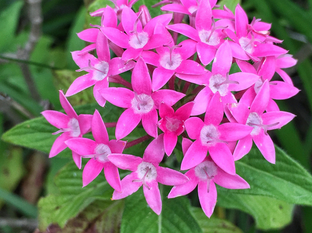 Greenbank Guest House And Cottages主图