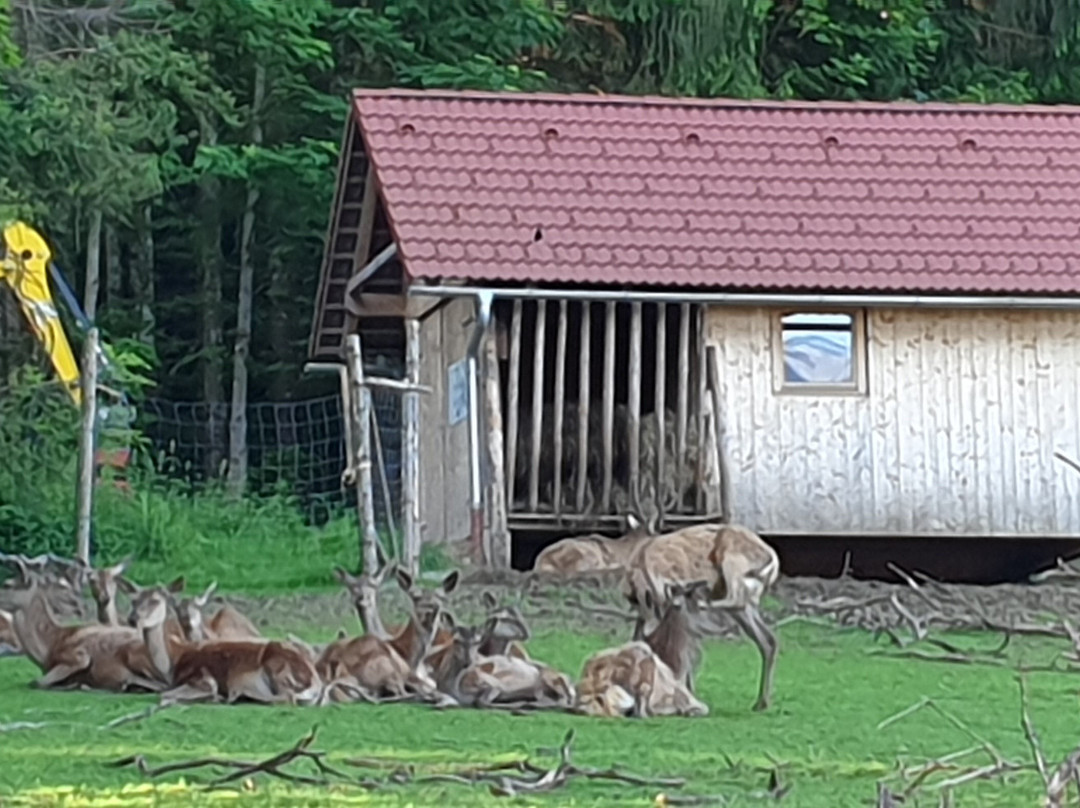 Hotel Sperlhof主图