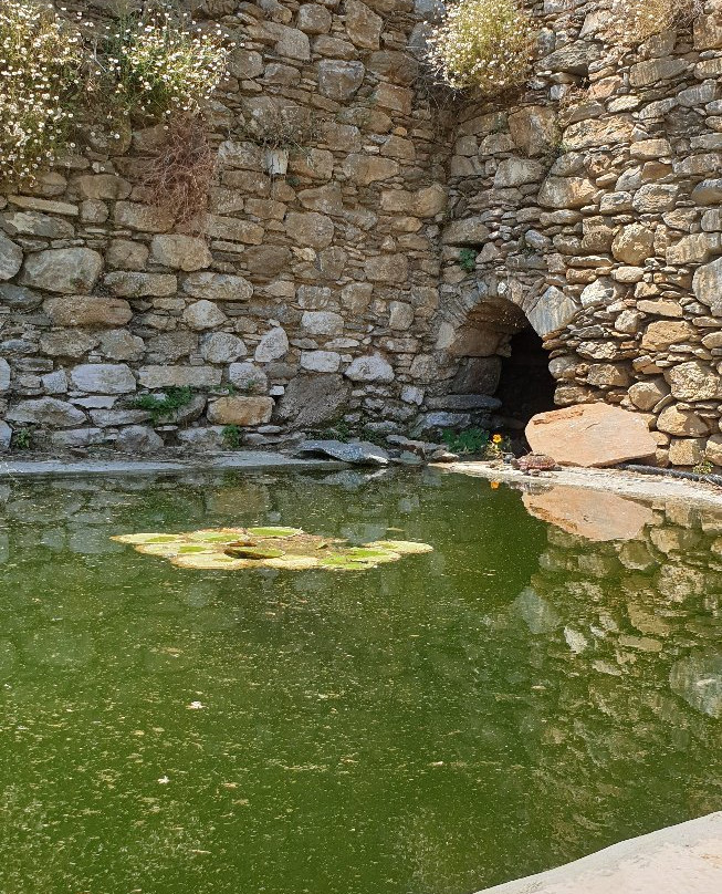 Amorgos Botanical Park景点图片