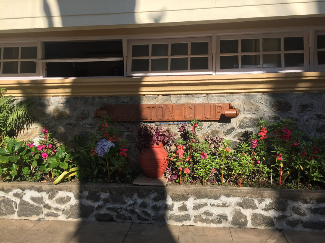 卡尔顿酒店主图