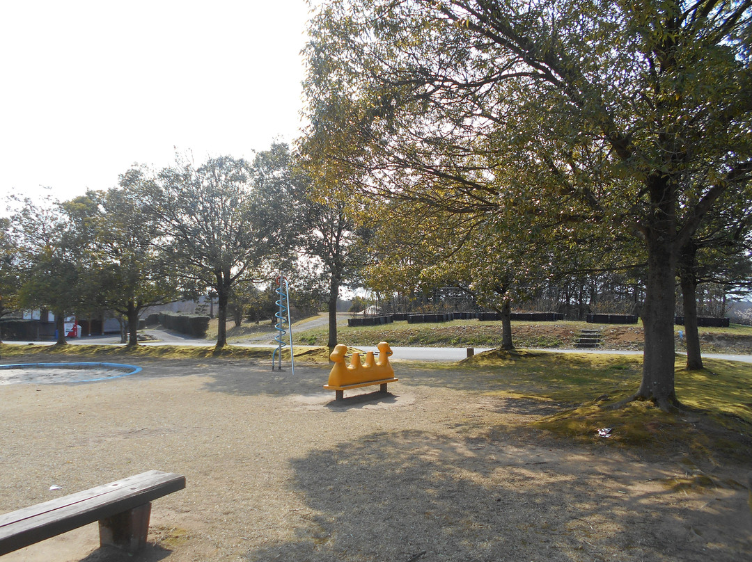 Yanagida Park景点图片