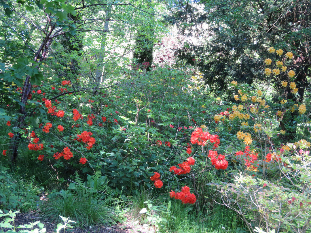 Monteviot Gardens