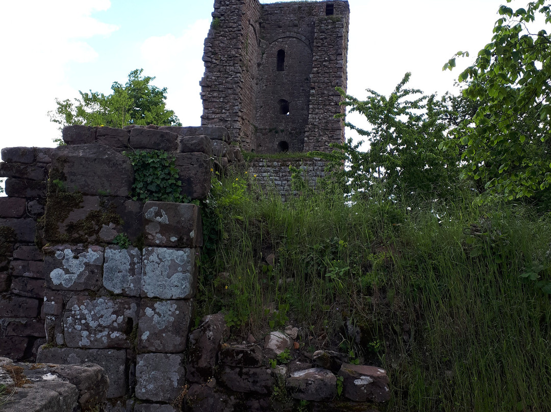 Château du Grand-Geroldseck景点图片