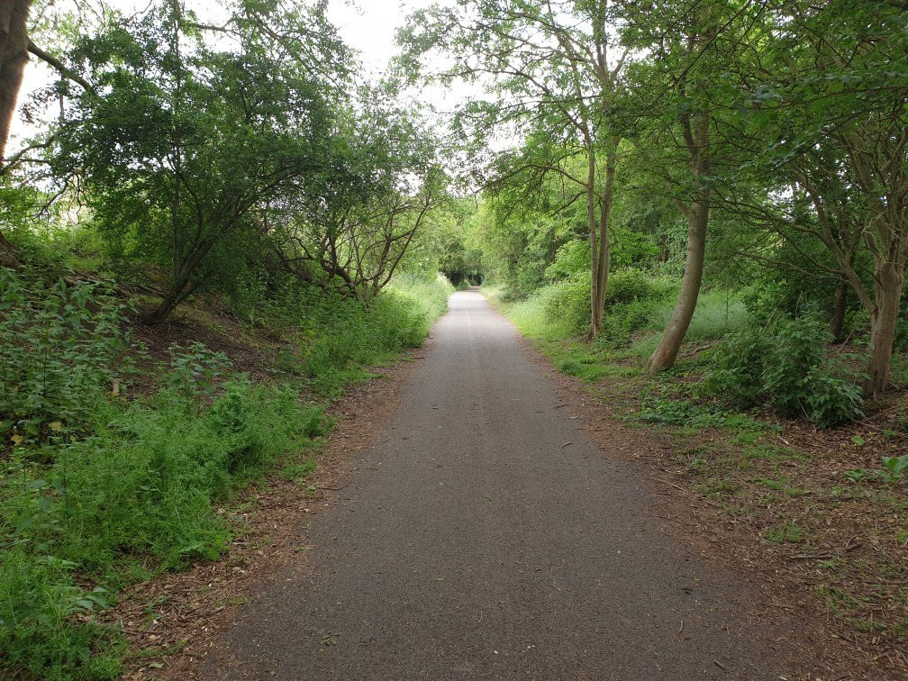 The Bedford to Sandy rail walk景点图片