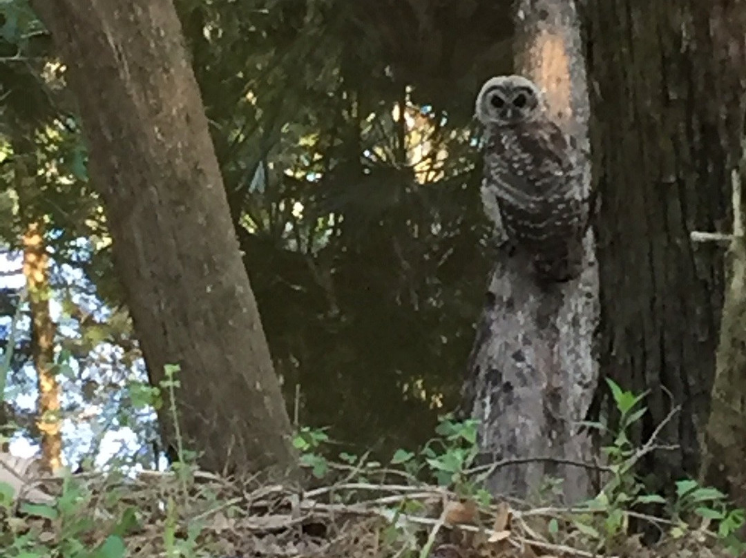 Waterfront Park-棕榈海岸必去景点