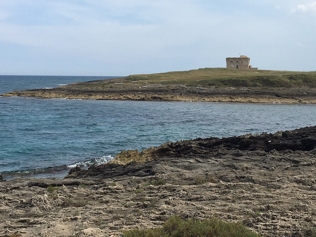 Area Marina Protetta di Torre Guaceto景点图片