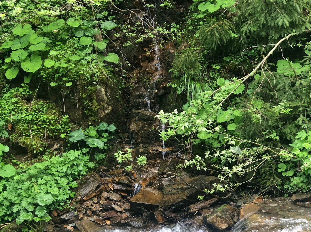 Cascada Varciorog-Arieseni必去景点
