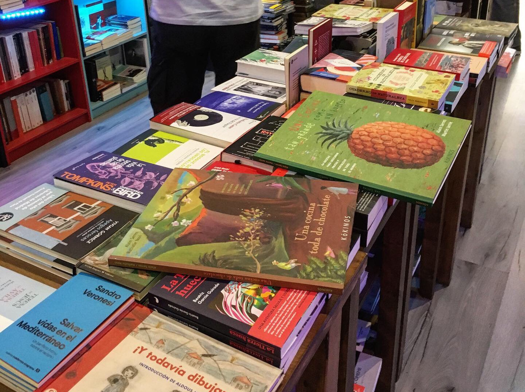 Libreria La Puerta de Tannhauser-Plasencia必去景点