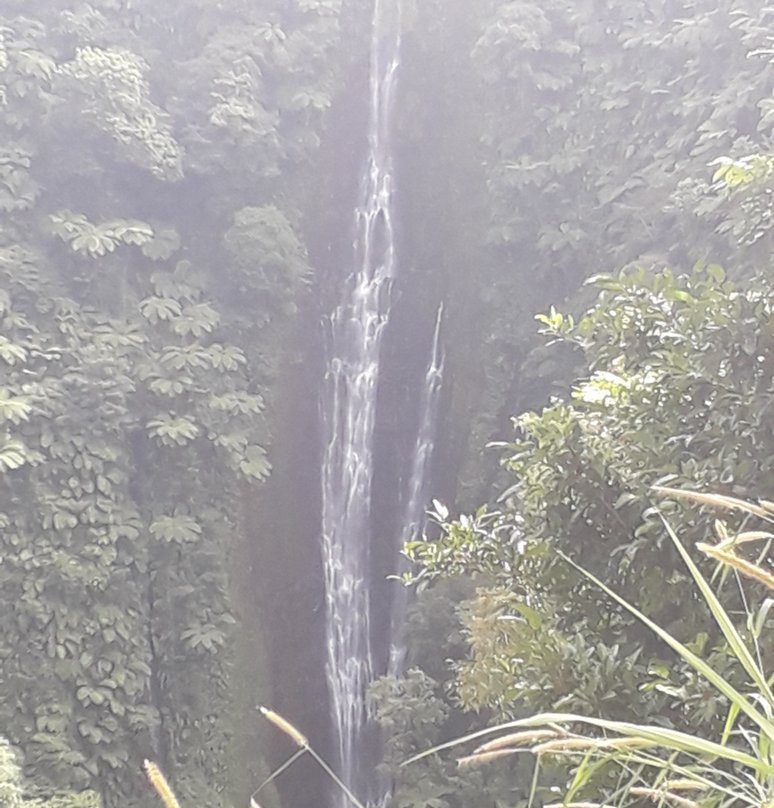 Papapapaitai Falls景点图片