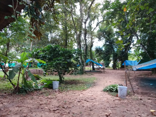Portico da Cidade de Paraty-帕拉地必去景点