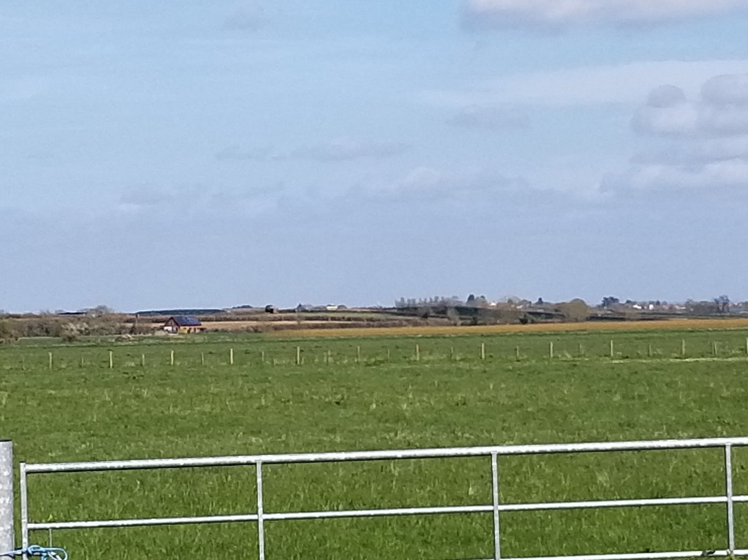Somerset Levels and Moors景点图片