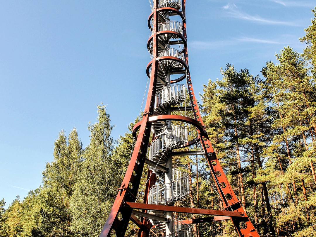 Labanoras Regional Park Observation Tower-Moletai必去景点