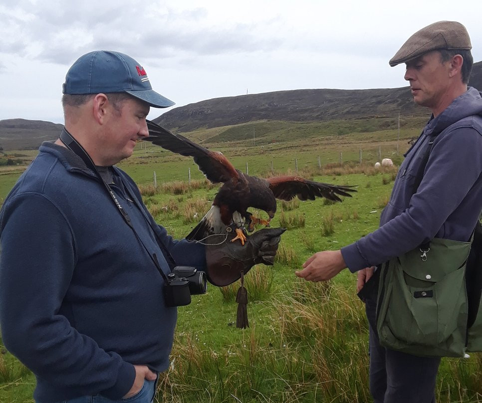 Skye Bird of Prey Experience景点图片