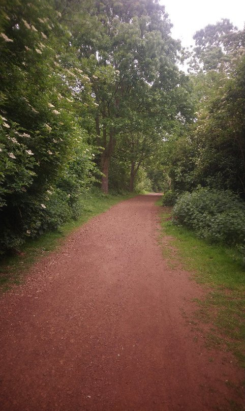 Hunsbury Hill Country Park景点图片