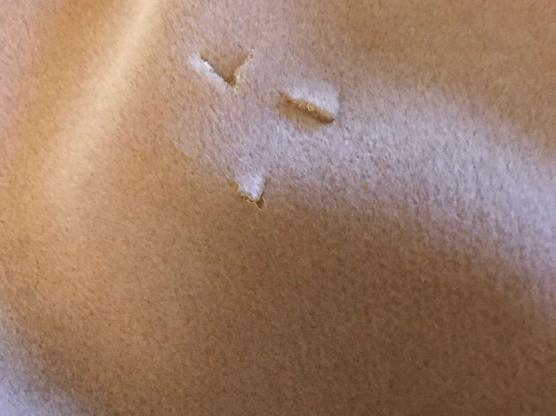 Acorn Motor Inn主图