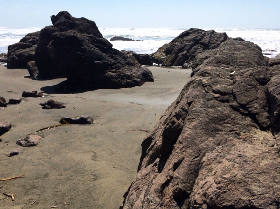 Sonoma Coast State Beach - Salmon Creek景点图片