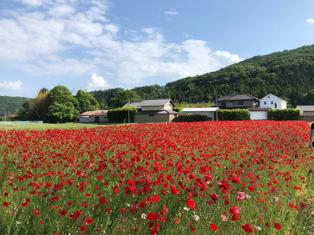 Saitama Dento Kogei Kaikan-小川町必去景点