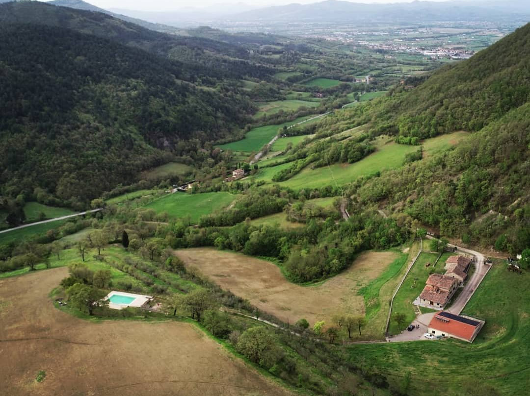 Il Castiglione Agriturismo Bio主图