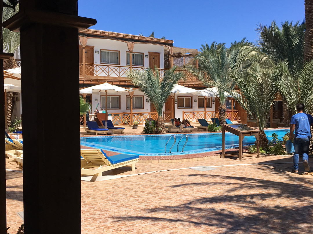 Acacia Dahab Hotel主图