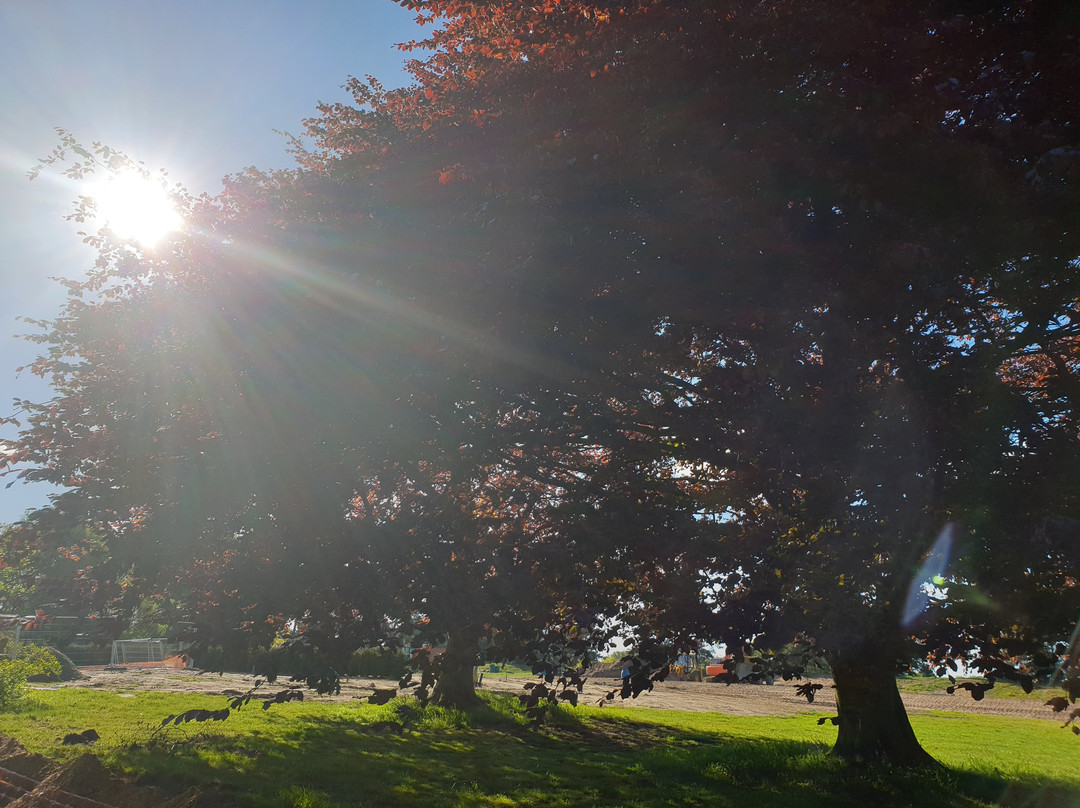 Fritton Lake - The Clubhouse主图