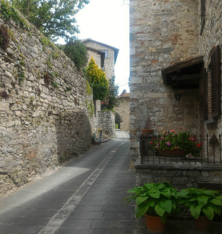 Castello di Vertine景点图片