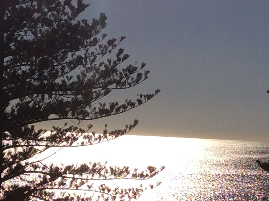 Crowne Plaza Terrigal Pacific By IHG主图