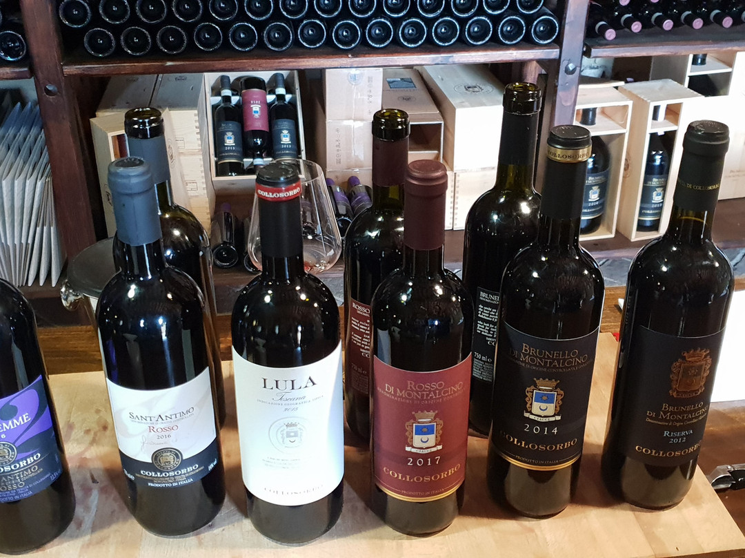 Tenuta di Collosorbo-蒙塔尔奇诺必去景点