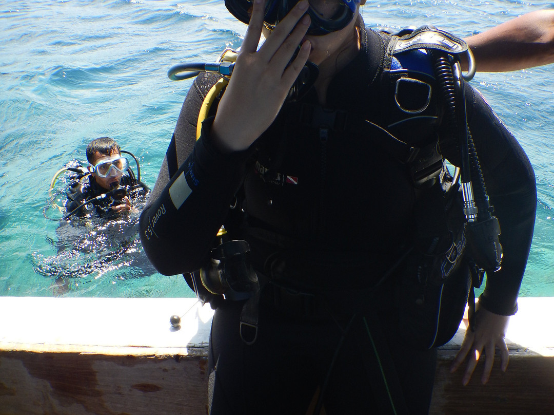 Tomia Ocean Dive景点图片