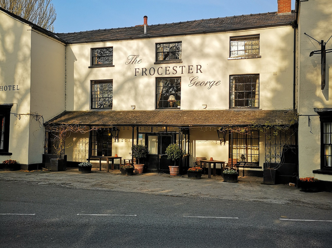 The Frocester George主图
