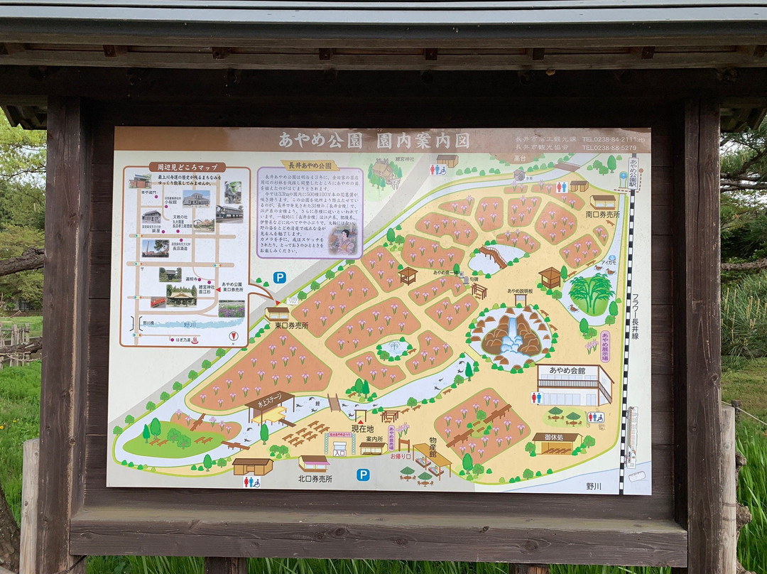 Nagai Ayame Park景点图片