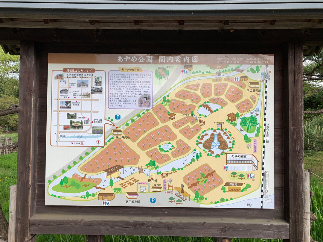 长井市旅游攻略图片