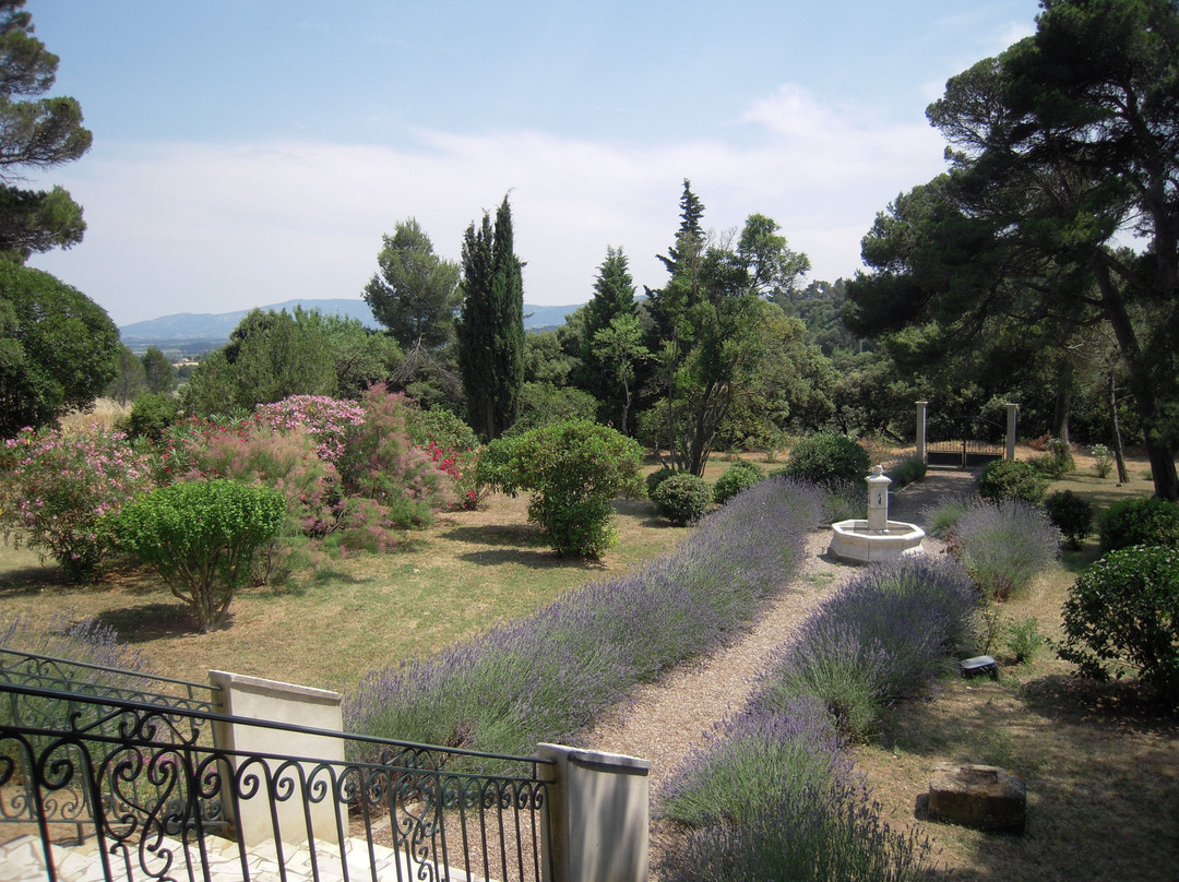 Chateau Borie Neuve主图