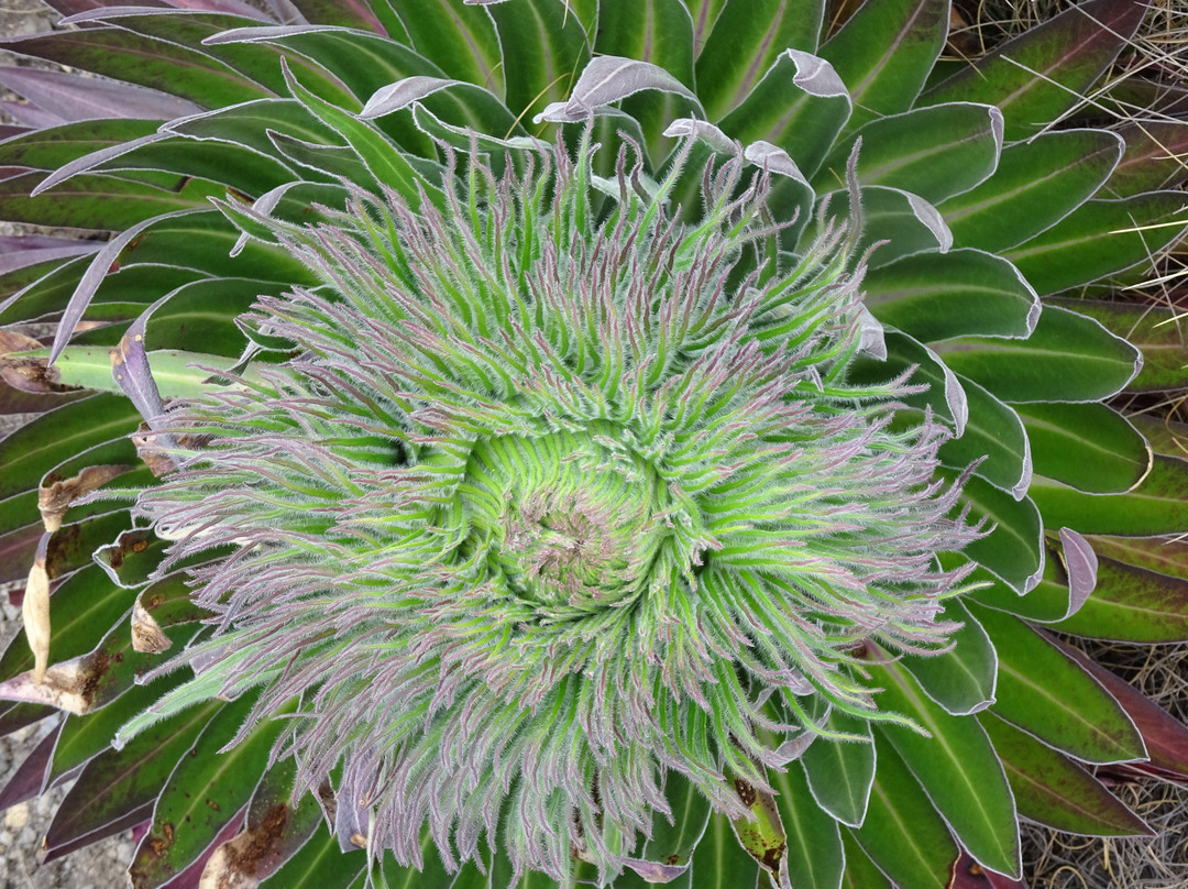 Alpine Holidays-Naro Moru必去景点