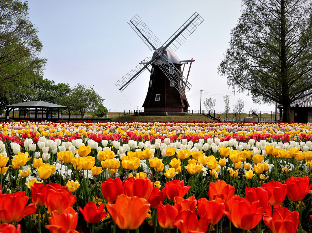 Akebonoyama Agricultural Park-柏市必去景点