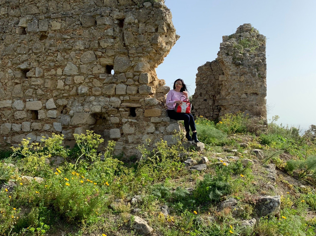 Castello Santapau景点图片