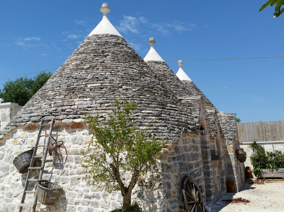 Poggio Degli Ulivi主图